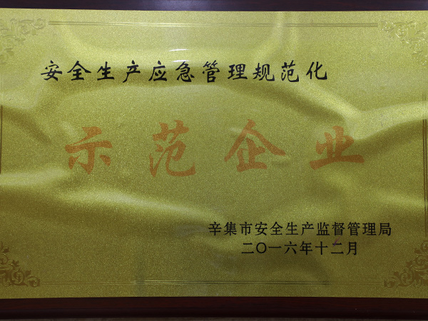 安全生產(chǎn)應急管理規(guī)范化示范企業(yè)